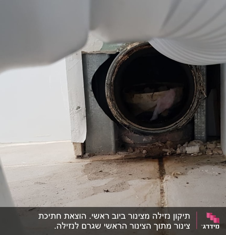 צינור פלסטיק לבן מחובר לפתח ניקוז מתכת